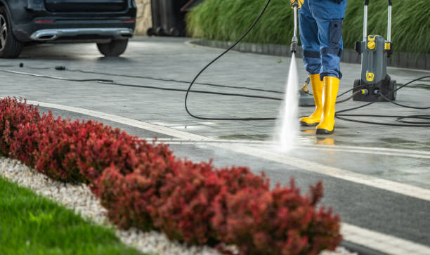 Best Gutter Cleaning and Brightening in Grambling, LA